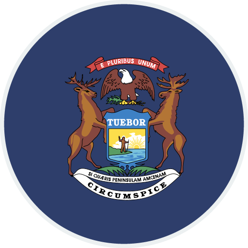Michigan flag