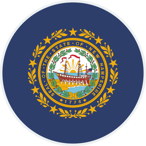 New Hampshire flag