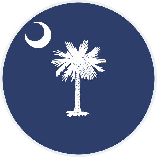 South Carolina flag