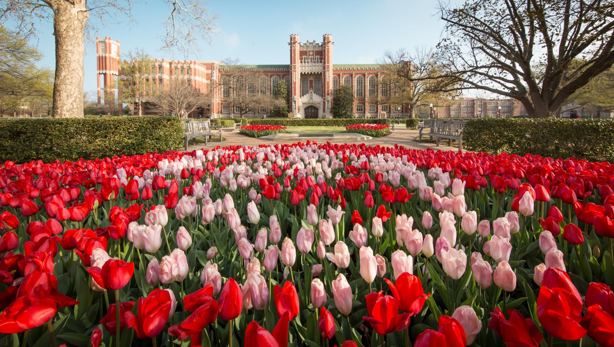 University of Oklahoma campus scene